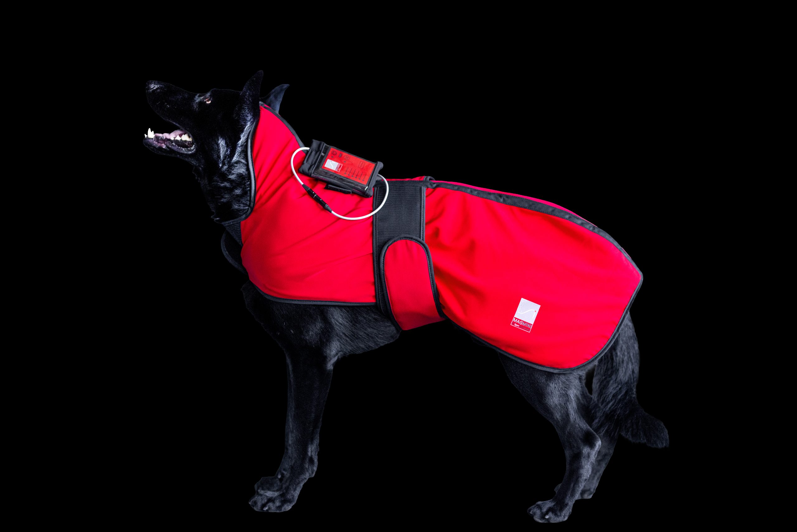 New “MagMini” PEMF Dog Blanket - Image 2