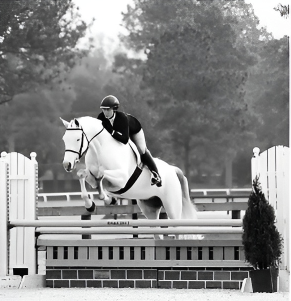 AMANDA SHINE WISE_Screen Shot 2021-07-21 at 1_19_03 PM