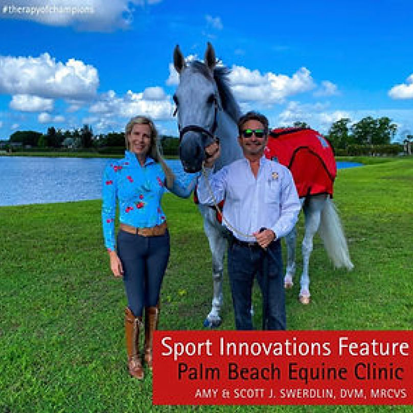 AMY-&-SCOTT-J.-SWERDLIN-DVM-MRCVS_IMG_9564