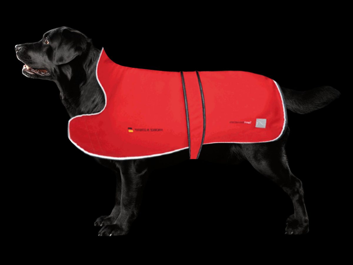 PEMF Dog Blanket (Rental) SportInnovations